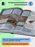 Птицы. Энциклопедия российского школьника
