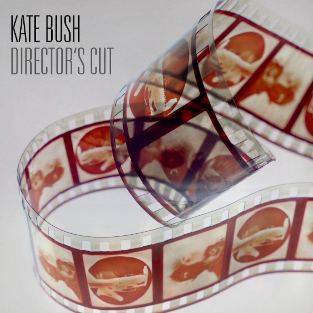 Kate Bush / Director&#39;s Cut (CD)