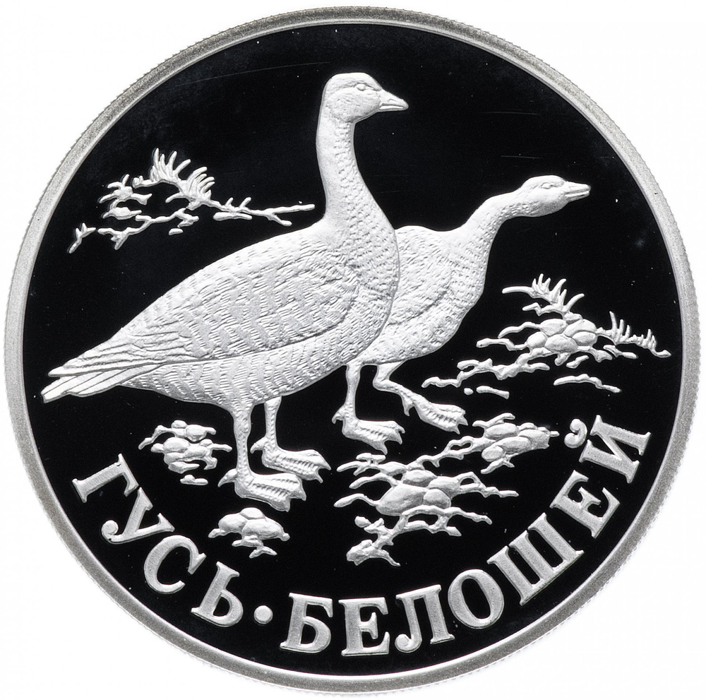 Russia 2 Rubles 1998, Red Book - Swan Goose (SPMD),PROOF