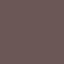 Велюр Blitz / Блитц