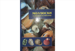 Книга моллюски в мировой кулинарии, Б/У
