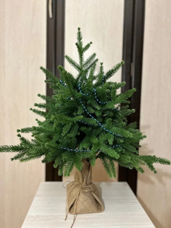 Ель искусственная Инфинити 60 см