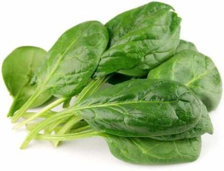 Шпинат