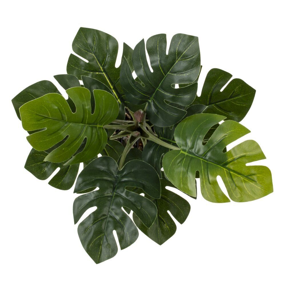 GAEM Цветочная композиция, L25 W25 H30 см, 5в.