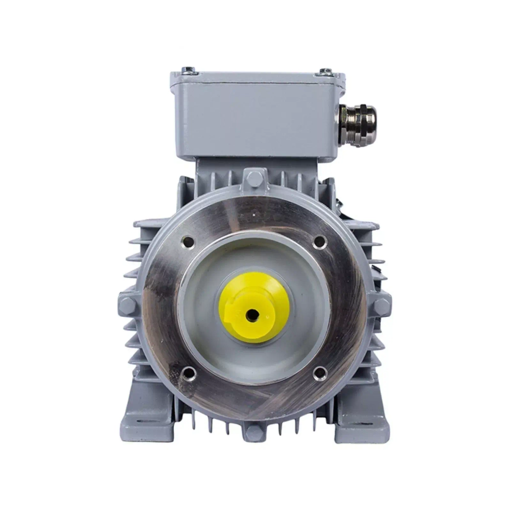 Электродвигатель ESQ PR 100 LB4-SDN-Б1-S12-IE3 3/1500 IMB34