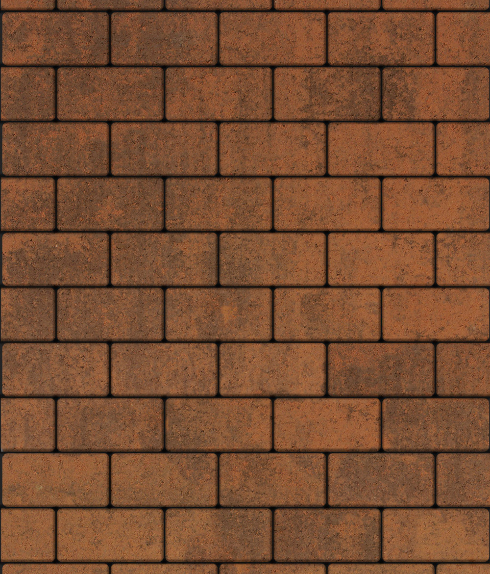 Тротуарная плитка ВЫБОР, форма Прямоугольник 100*200, h=60мм