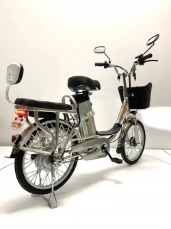 Электровелосипед Green Camel Транк 20 V8