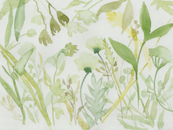 WATERCOLOR 21 4