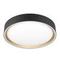Потолочный светодиодный светильник Citilux Boss CL751251G
