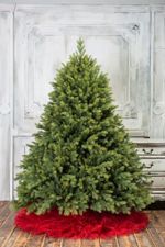 Ель искусственная «Эрмитажная» (Литая хвоя) 3 м