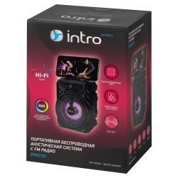 Портативная колонка Intro BRW290 bluetooth беспроводная акустическая черная | Intro