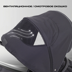 Детская коляска Rant Flex 2 в 1 RA076 Black