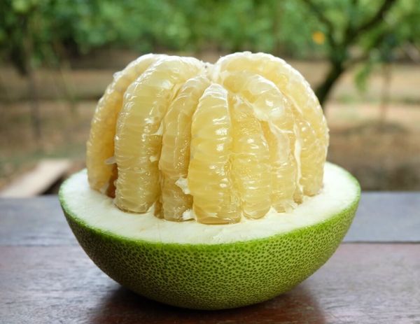 Помело – экзотический фрукт в питании диабетика. Помело – экзотический фрукт в питании диабетика.