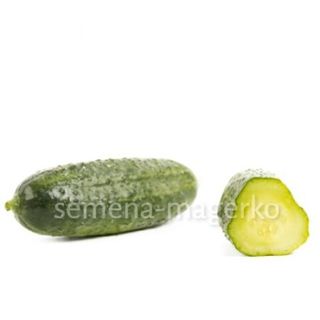 Огурец Диез F1 250 (семян)