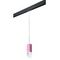 Комплект с трековым светильником Lightstar Rullo (214432+595857) PRORP432