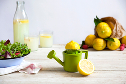 Соковыжималка для лимонов lemoniere
