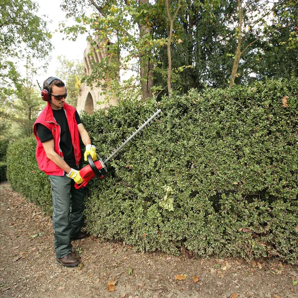 EFCO TG 750 E кусторез 58029051