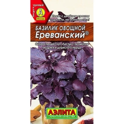 Базилик фиолетовый