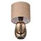 Настольная лампа Lumion Moderni Akivi 8150/1T