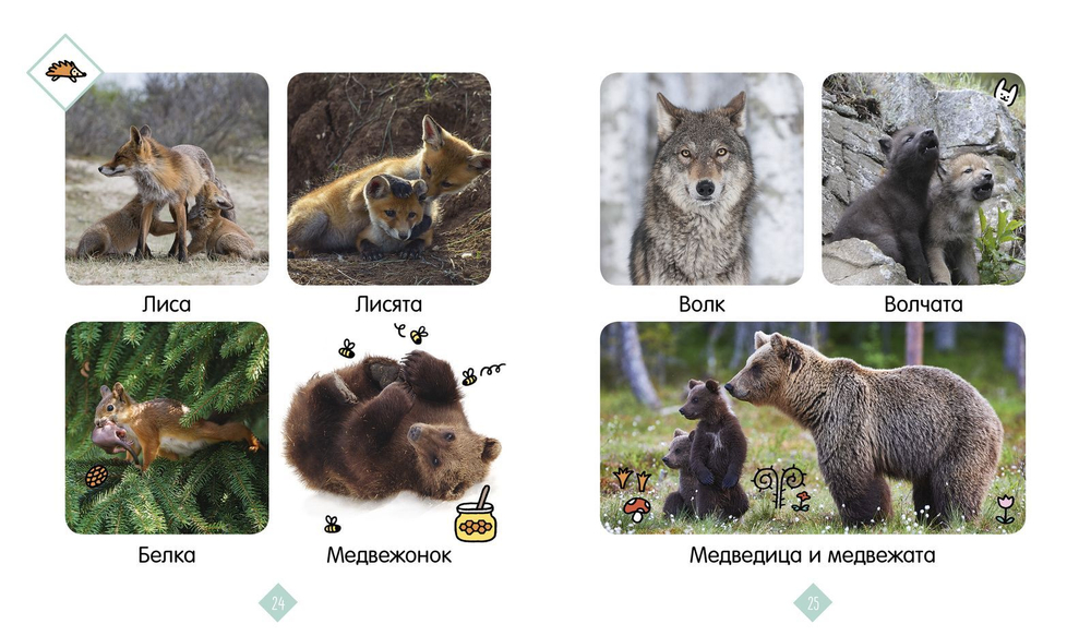 Главная книга малыша. Зверята. Фотокнига