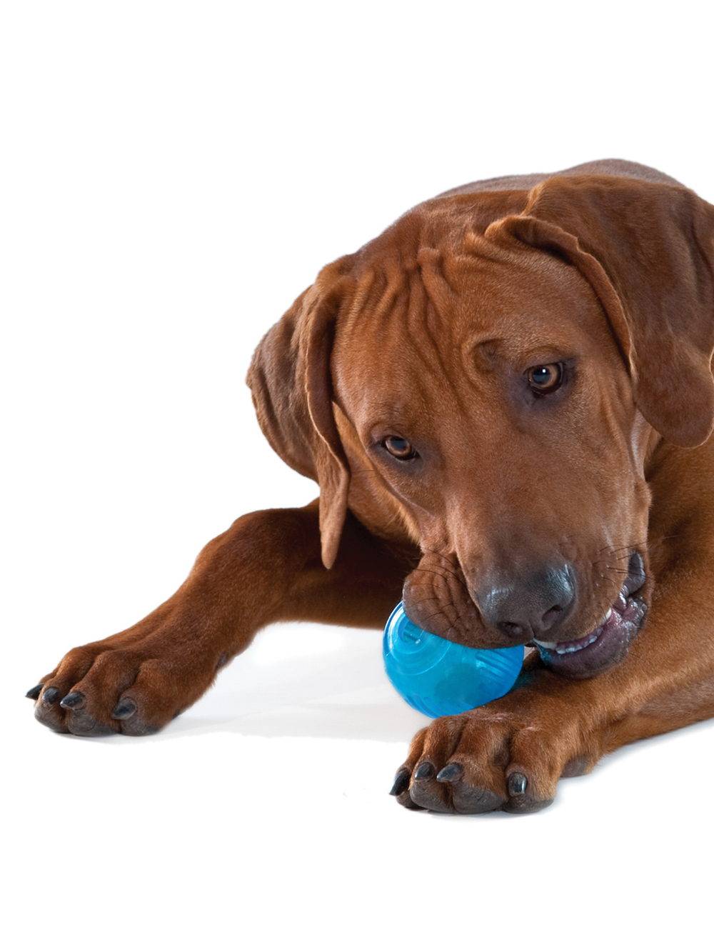 Petstages игрушка для собак "ОРКА теннисный мяч" 6 см