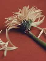 Кольцо Crystal Drop с раухтопазом