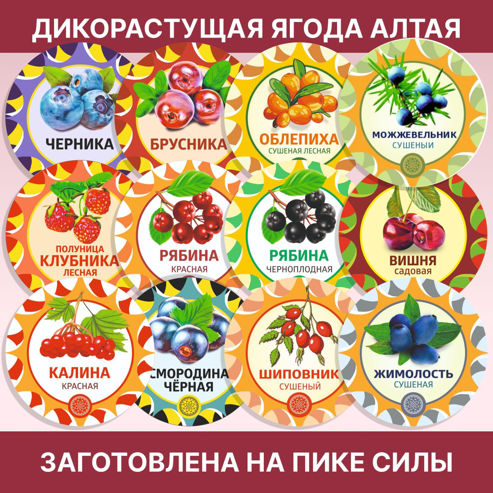Сабельник корень.