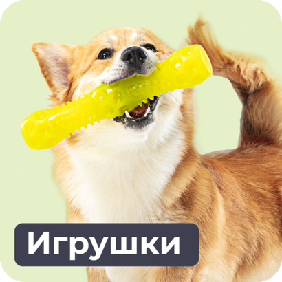 Игрушки