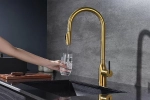Смеситель для кухни Paulmark Universal Un213880-BG брашированное золото