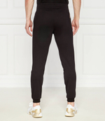 Спортивные штаны EA7 - черный(8NPP66 PJVRZ)