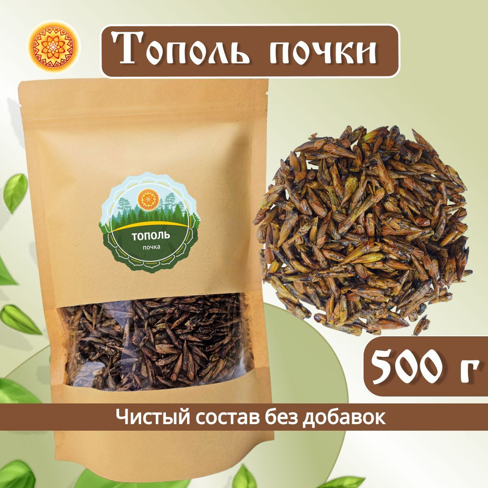 Тополь черный почки.