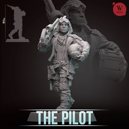 Миниатюра The Pilot