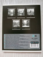 Тетрадь 48 листа А5+.  "Города", общая, клетка. Формат А5+ (163*203 мм). Арт.120030. С полями. Комплект 5 шт.