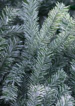 Уличная елка каркасная "Уральская изумрудная" (пвх бело-зелёная) от 4 до 30 м