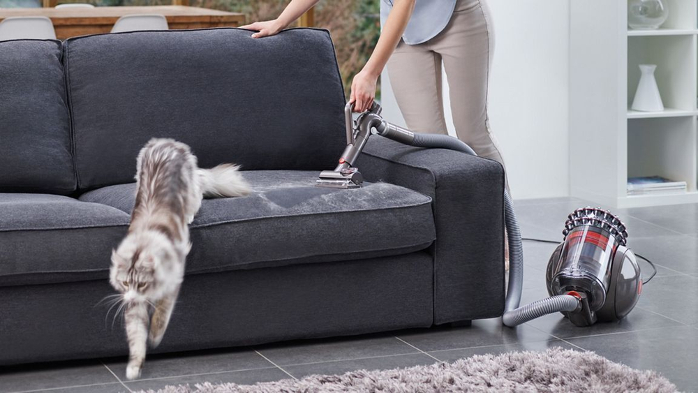 Пылесос Dyson Cinetic Big Ball Absolute 2