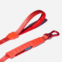 Амортизирующий поводок Air Crimson 150 см Zee.Dog