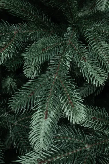 Искусственная ель Царская 4 м., ствольная, интерьерная, 100% Литая хвоя, ЕлкиТорг (194400)