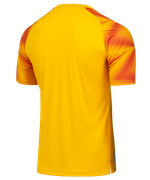Футболка вратарская JOGEL NATIONAL PerFormDRY GK Jersey, желтый