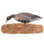 Комплект чучел Гусь Белолобый (10шт) S-XPE B622X-UV "Живое перо",  "North Way"