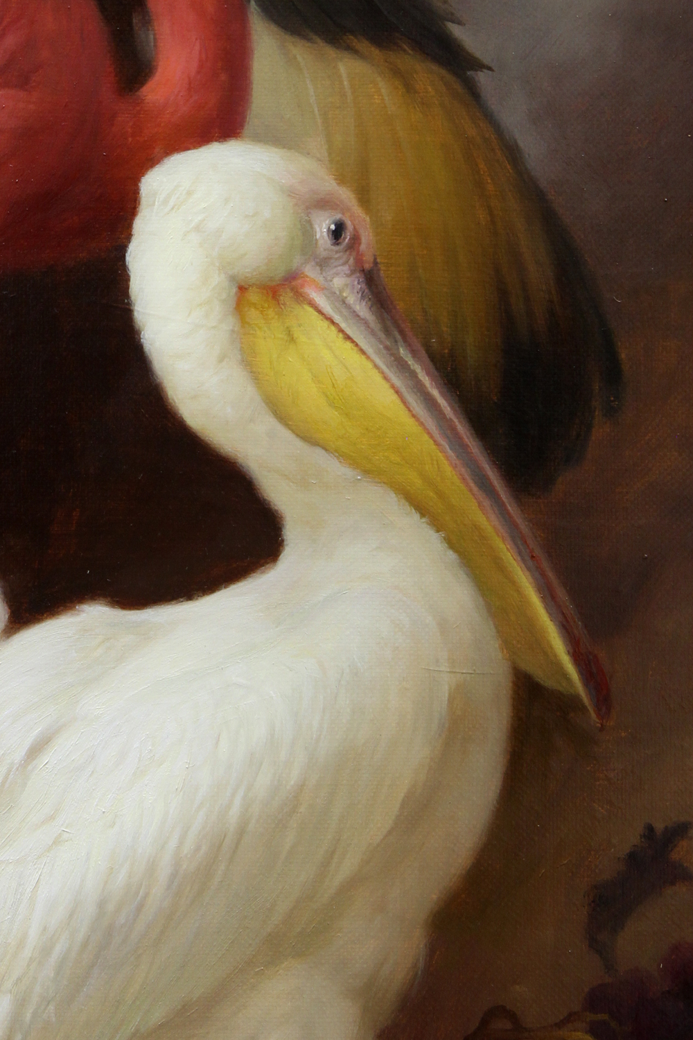 Какаду в гостях