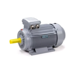 Электродвигатель ESQ PR 160 M6 GST-Б1-S12-IE2 15/1000 IM2001