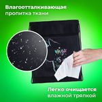 Мешок для обуви BRAUBERG, с петлёй, карман на молнии, 47х37 см, "Magic Cat", 271608