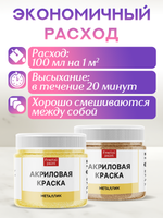 Комбо акриловых красок (золото+бронза) 2х20 мл