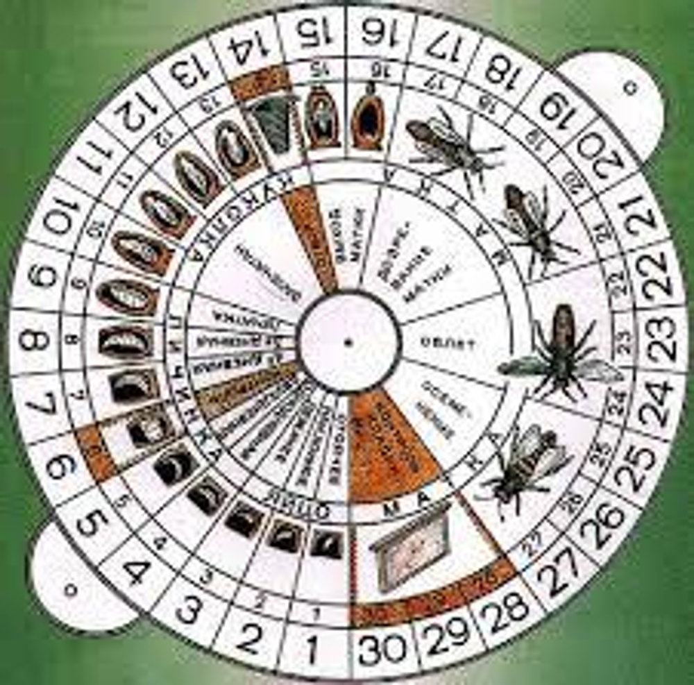 Календарь для вывода маток пластик