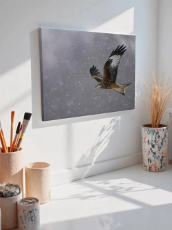 Картина на стену 40 X 50 Сокол