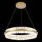 Подвесной светодиодный светильник ST Luce Cherio SL383.213.01