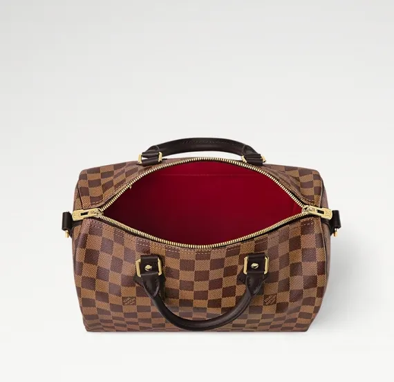 Сумка Louis Vuitton Speedy Damier Ebene