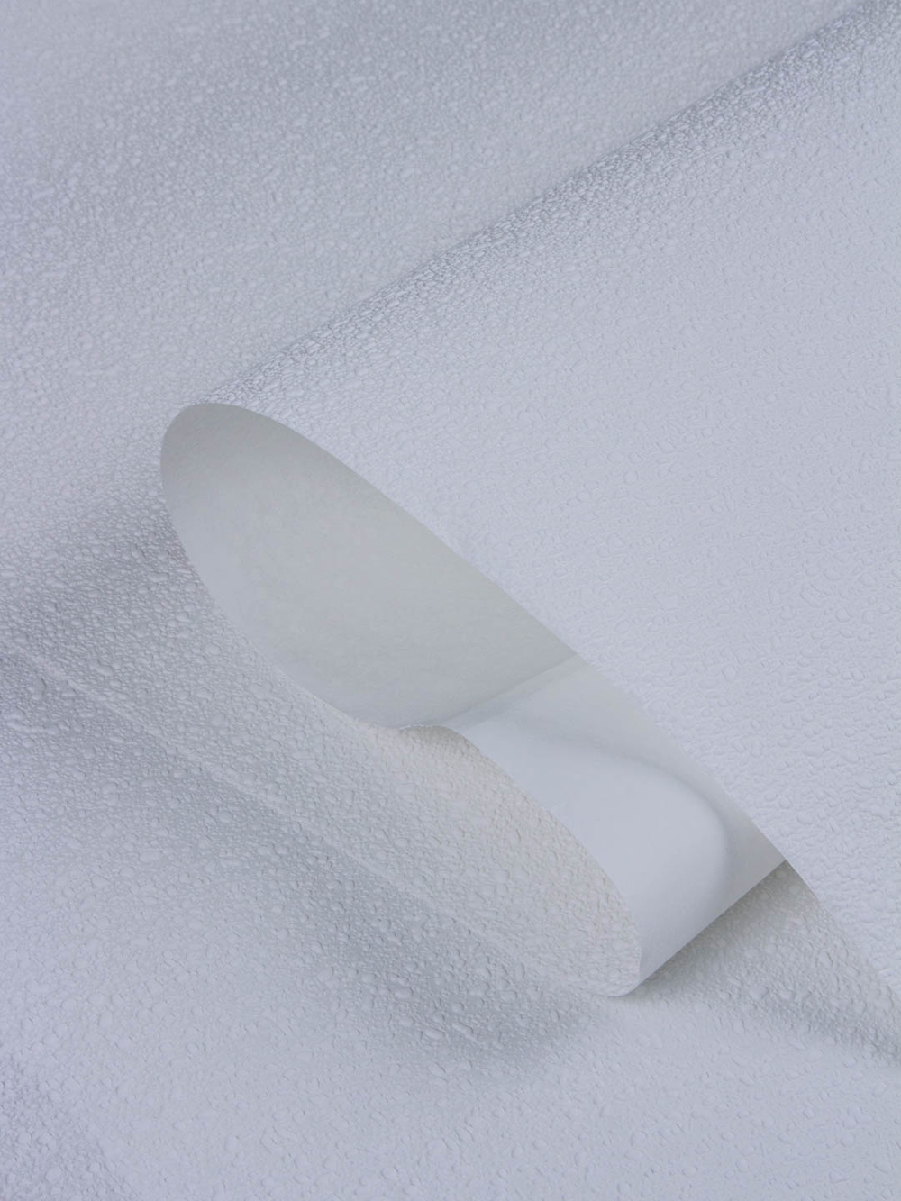 Rasch 1.06 m*25 177423 Wallton