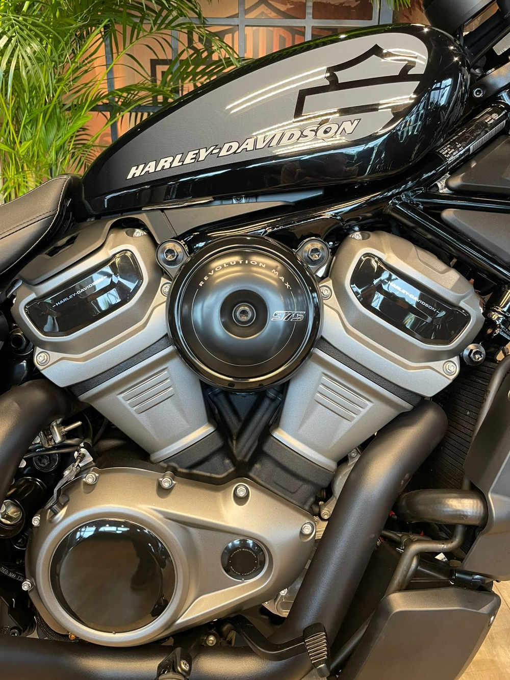 Nightster 975 Harley-Davidson "BLACK" 2022