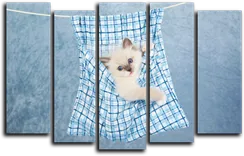 Модульная картина "Попался!"